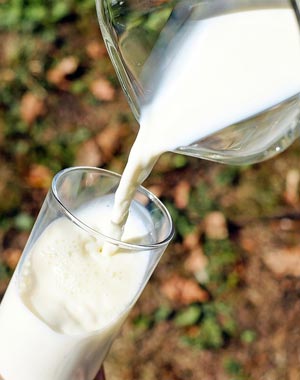 Ulusal Süt Konseyi Süt Raporları