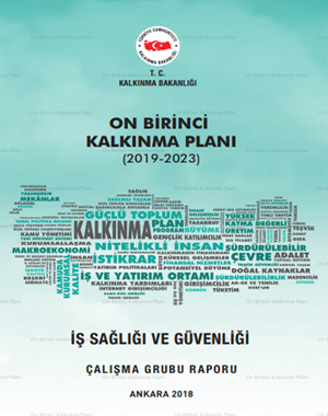 ON BİRİNCİ KALKINMA PLANI İŞ SAĞLIĞI VE GÜVENLİĞİ ÇALIŞMA GRUBU RAPORU