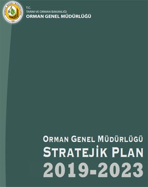 ORMAN GENEL MÜDÜRLÜĞÜ: 2019-2023 STRATEJİK PLANI