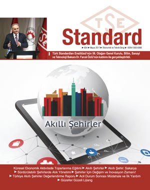 TÜRK STANDARTLARI ENSTİTÜSÜ (TSE): STANDART