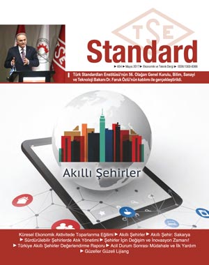 TÜRK STANDARTLARI ENSTİTÜSÜ (TSE): STANDART