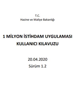 Hazine ve Maliye Bakanlığı Bilgi Teknolojileri Alanında 1 Milyon İstihdam Uygulaması - 20 Nisan 2020