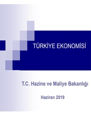 T.C. HAZİNE VE MALİYE BAKANLIĞI: TÜRKİYE EKONOMİSİ/SUNUM - 2022