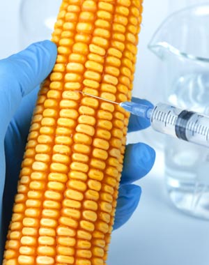 TÜRKİYE BİYOGÜVENLİK BİLGİ DEĞİŞİM MEKANİZMASI: BİYOGÜVENLİK KURULU RESMİ GAZETE KARARLARI
