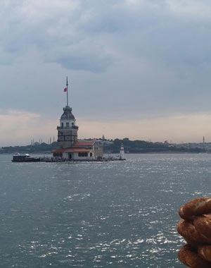 İSTANBUL KALKINMA AJANSI: İSTANBUL YATIRIM REHBERİ 2019'U YAYINLANDI-TÜRKÇE, İNGİLİZCE, ARAPÇA VERSİYONLARI