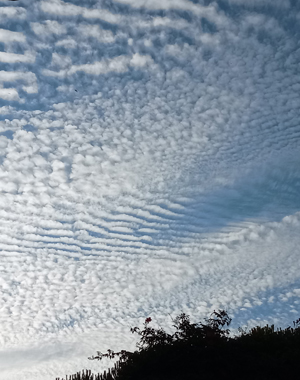 Meteoroloji genel müdürlüğü Türkiye'de ve Dünyada Kaydedilen En Düşük ve En Yüksek Değerler