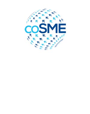 İşletmelere ve KOBİlere yönelik COSME Türkiye Teknik Destek Projesi