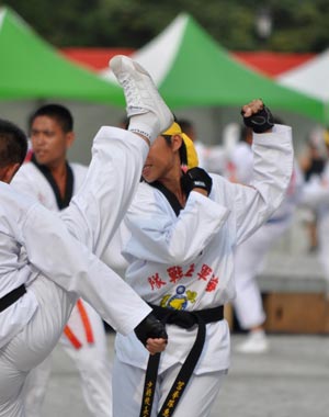 T.C. GENÇLİK VE SPOR BAKANLIĞI TAEKWONDO DA SPOR YARALANMALARI VE ÇÖZÜM ÖNERİLERİ (2013)