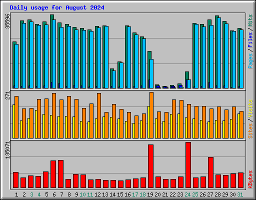 Daily usage for August 2024