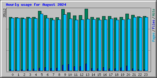 Hourly usage for August 2024