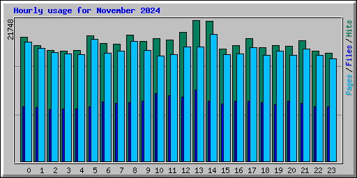 Hourly usage for November 2024