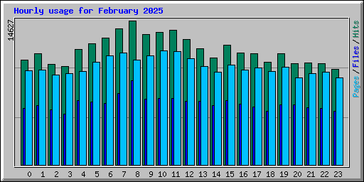 Hourly usage for February 2025