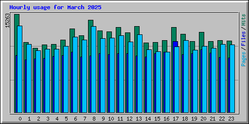 Hourly usage for March 2025