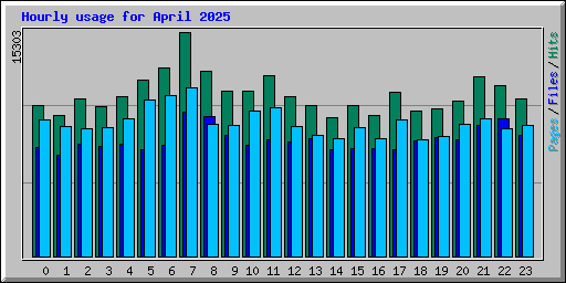 Hourly usage for April 2025