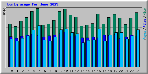 Hourly usage for June 2025